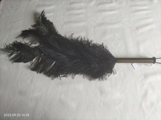 Black sensual play ostrich feather flogger