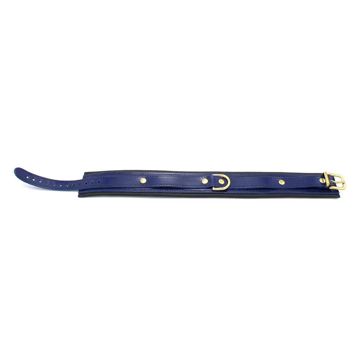 Blauwe Leren BDSM Collar met Lakafwerking & Gouden Gespen - Collar - SM-speeltjes