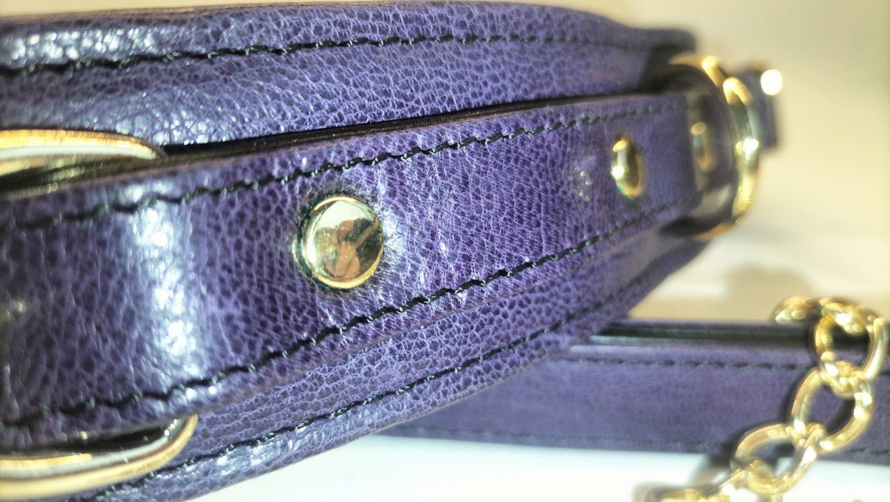 Exclusieve Japan Import Leder Collar met Leiband - Donkerpaars - Collar - SM - speeltjes