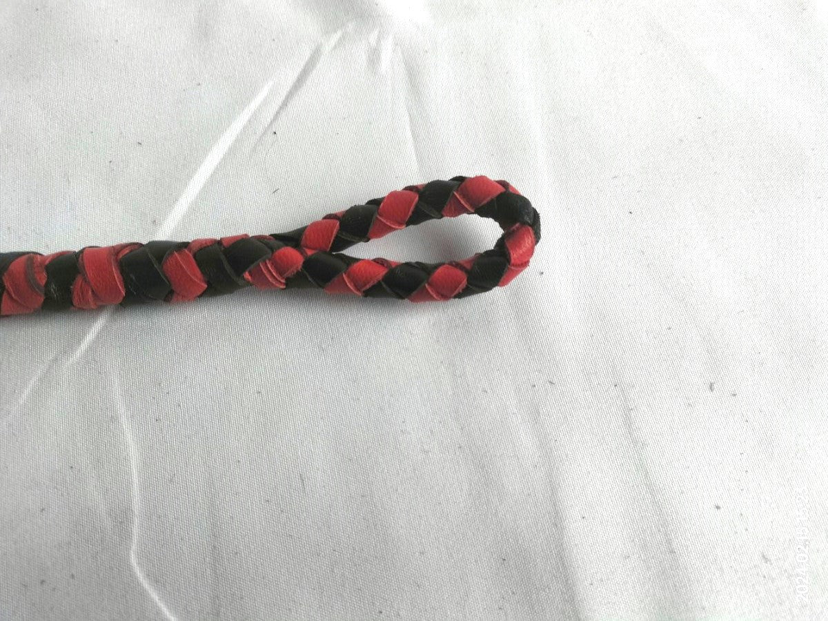 Snake whip with replaceable end
