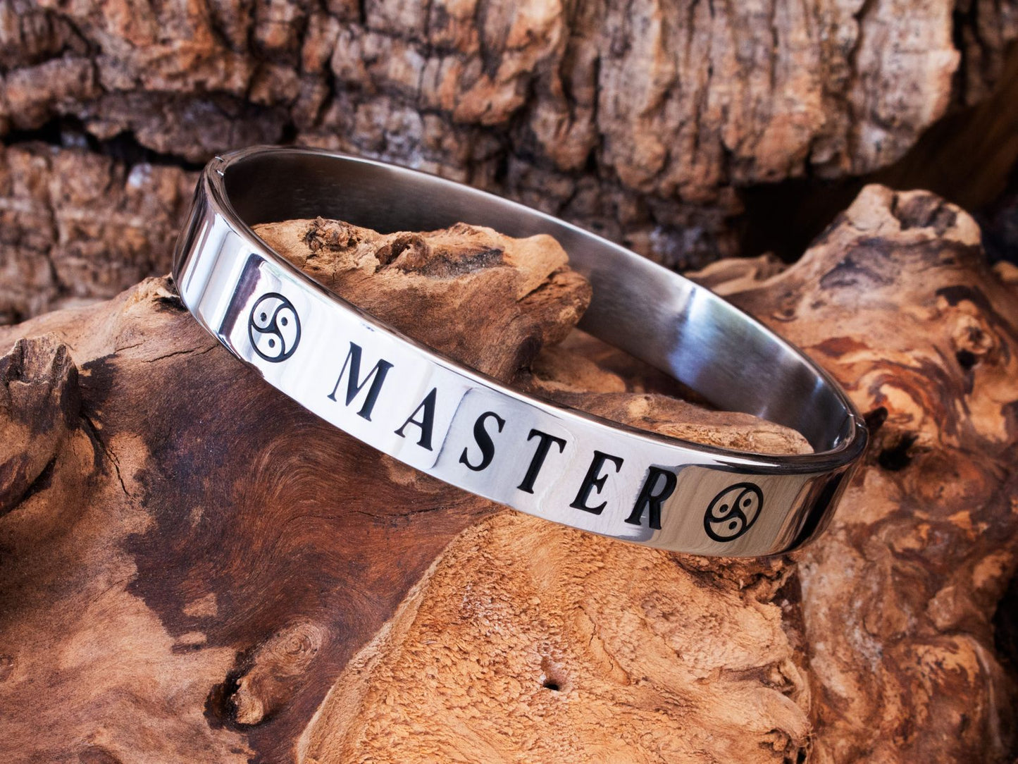 RVS armband MASTER