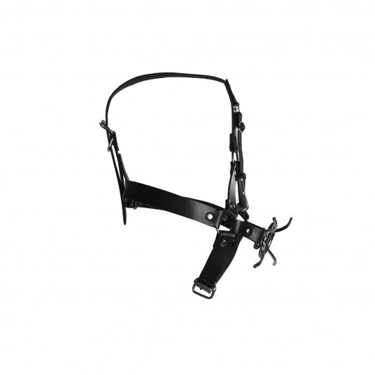 Head harness with spider gag