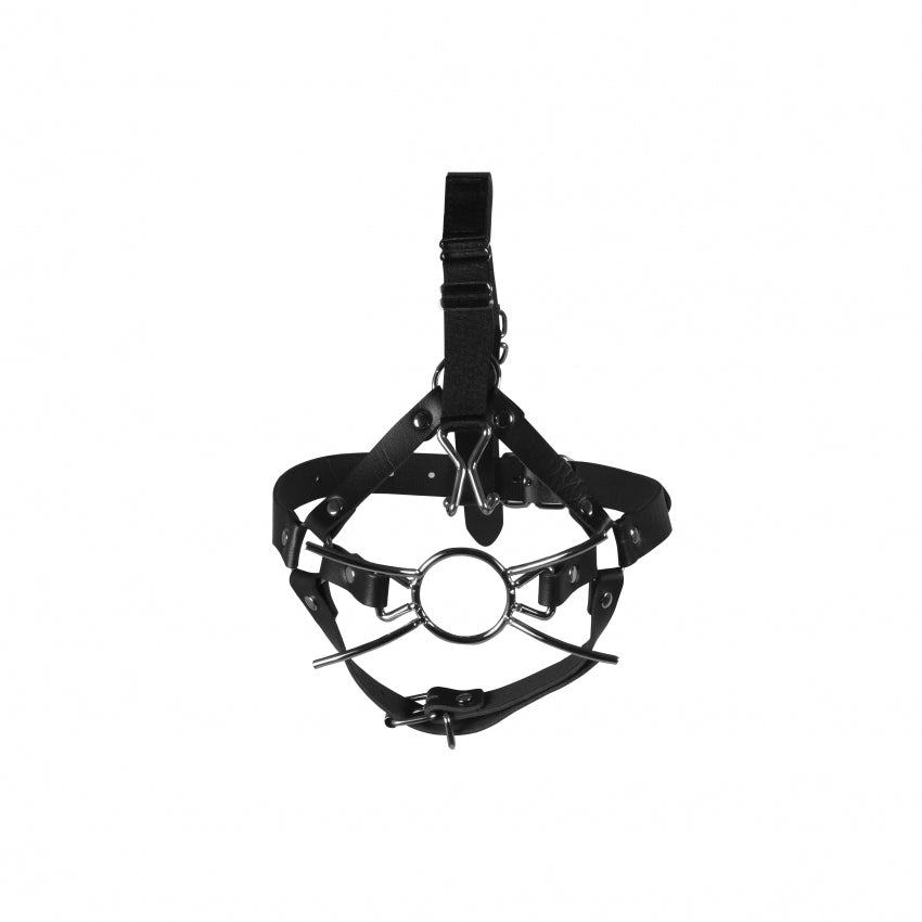 Head harness with spider gag