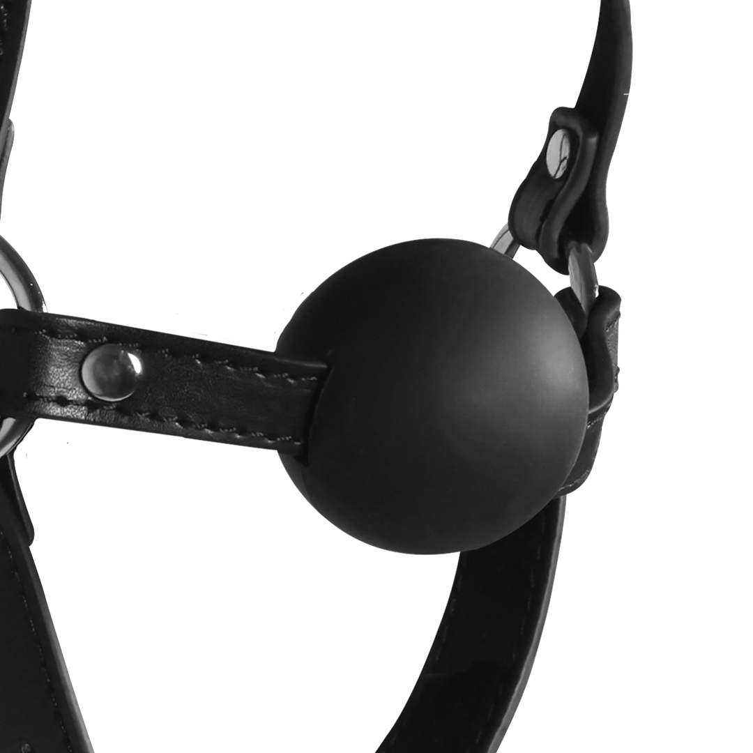 Extreme head harness with bellows gag