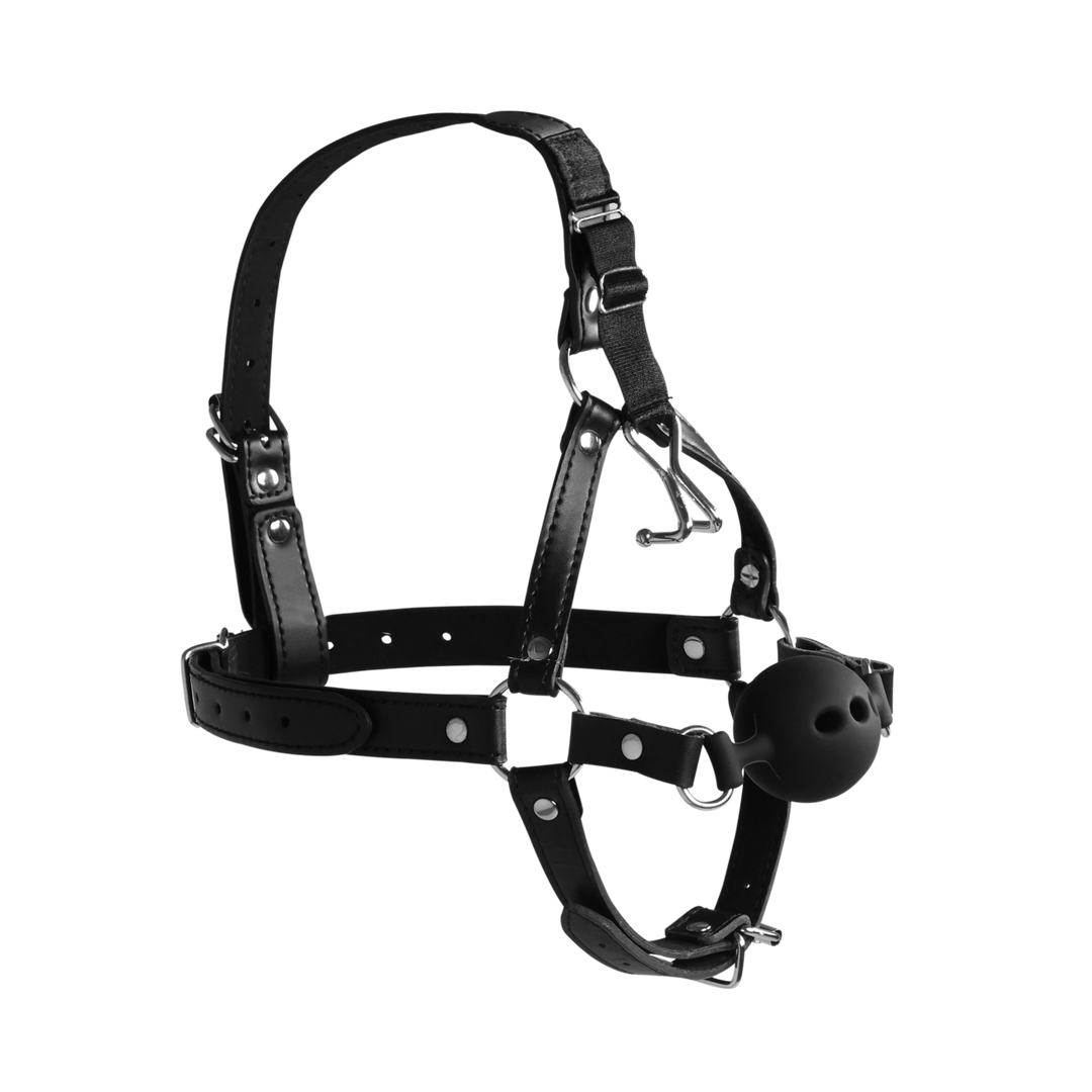 Extreme head harness with bellows gag and nose hooks