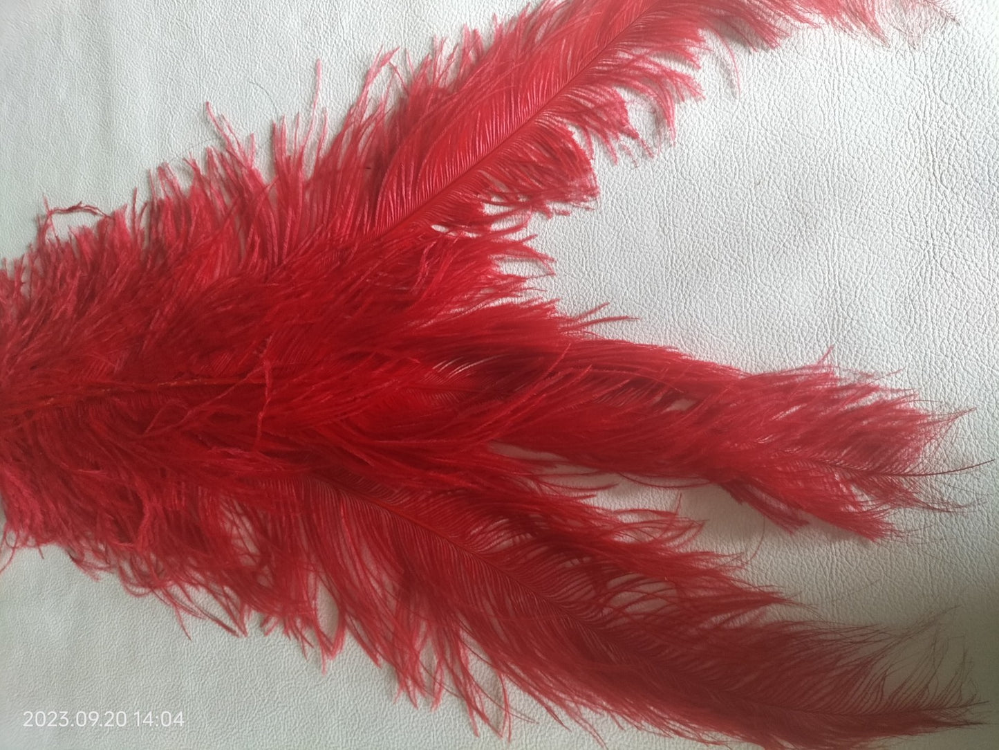 Red sensual play ostrich feather flogger