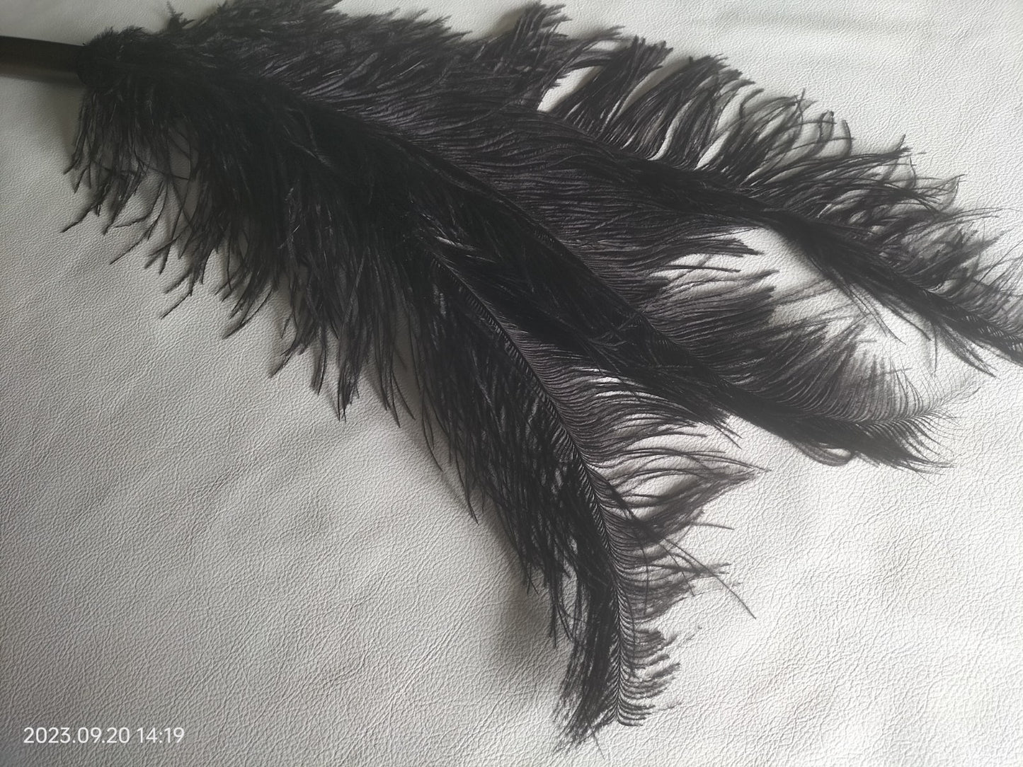 Zwarte sensual play struisvogel veren flogger