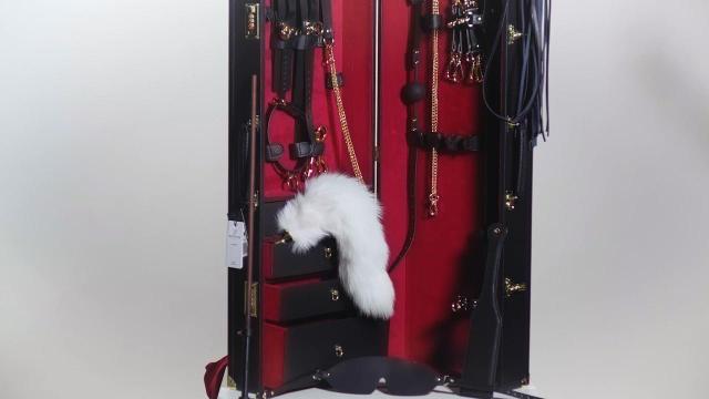 Bedroom Fantasies Bondage Koffer 11 Stuks – PU Leer Beginner BDSM Set - Bondage Set - SM-speeltjes
