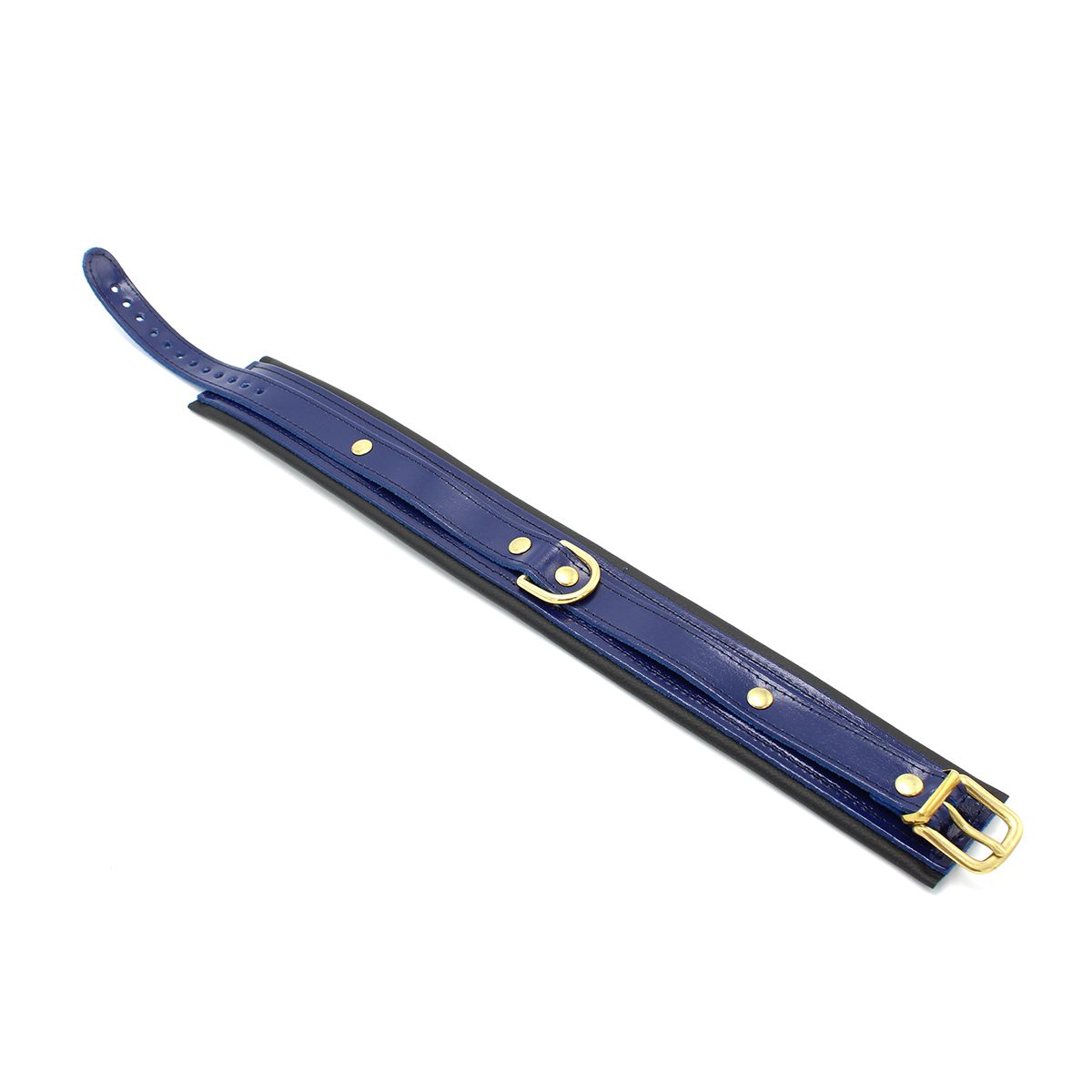 Blauwe Leren BDSM Collar met Lakafwerking & Gouden Gespen - Collar - SM-speeltjes