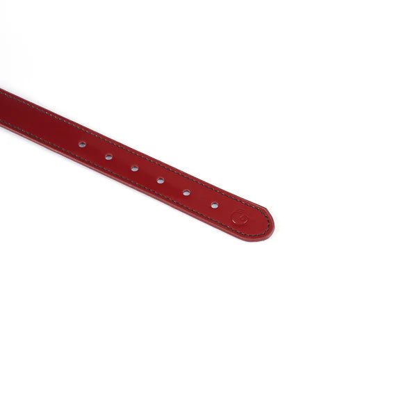 deze-prachitge-glanzende-bordeaux-leder-collar-met-glaskristallen-en-rosé-vergulden-gesp-en-O-ring-is-een-streling-voor-het-oog-maar-vooral-voor-jouw-hals-en-de-bevestiging-van-jouw-bdsm-relatie-5