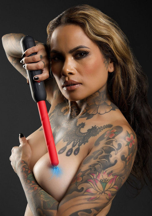 Deze-prick-stick-ook-wel-cattle-prick-stick-genoemd-zorgt-ervoor-dat-je-subje-mooi-gehoorzaamd-hij-is-handig-oplaadbaar-via-usb-aansluiting-1