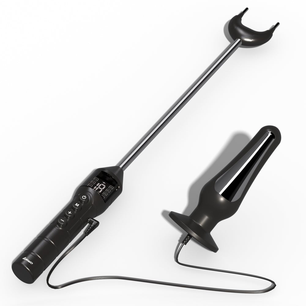 met-deze-vee-prik-stok-speciaal-gemaakt-voor-bdsm-scene-gebruik-kan-je-jouw-subje-straffen-zo-hard-of-zacht-als-je-wilt-dankzij-de-19-instelbare-intens-mogelijkheden-11