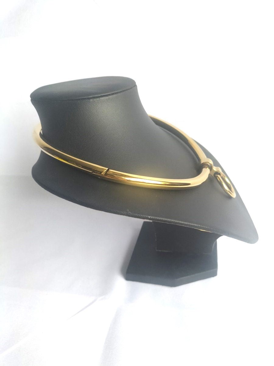 Gebogen RVS collar (diverse maten en kleuren) - SM - speeltjes