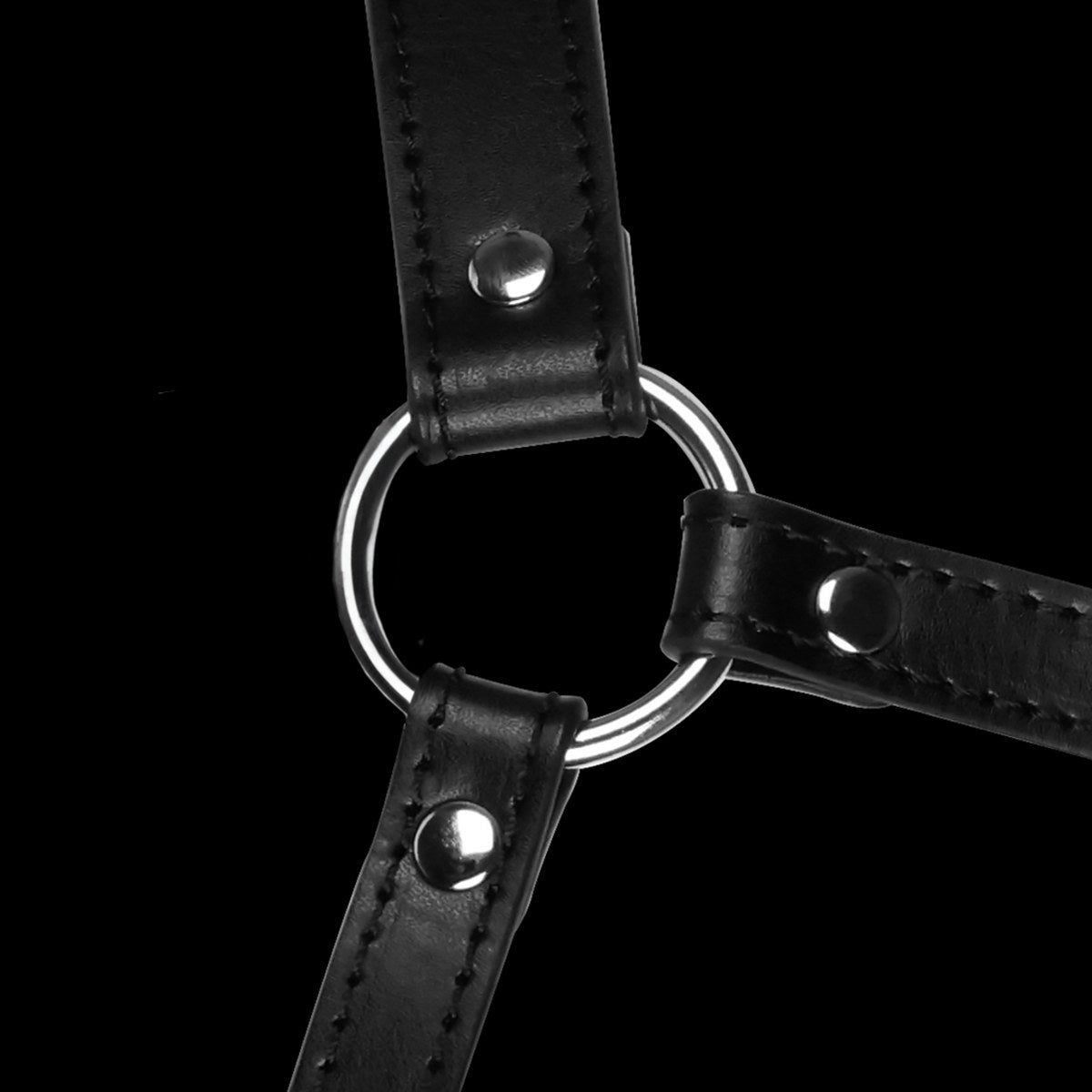 hoofdharnas-met-muilkorf-en-breathable-gagball-achter-de-muilkorf-met-dit-pu-leder-masker-leg-je-jouyw-submissive-zeker-het-zwijgen-op-9