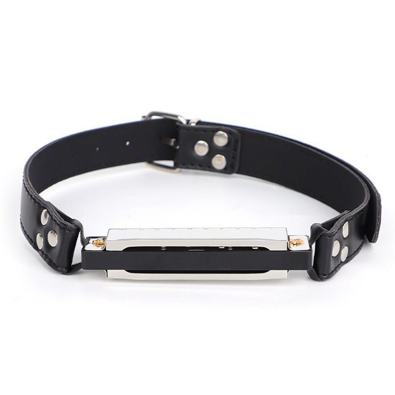 met-deze-ondharmonica-gagball-kan-de-fun-beginnen-instoppen-vastmaken-endan-zorgen-dat-subje-zucht-kreunt-of-blaast-hoe-je-dat-voor-elkaar-krijgt-laten-we-aan-jouw-verbeelding-over-8