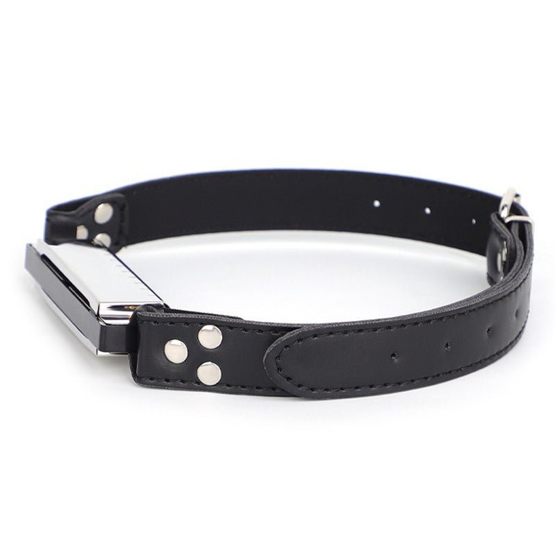 met-deze-ondharmonica-gagball-kan-de-fun-beginnen-instoppen-vastmaken-endan-zorgen-dat-subje-zucht-kreunt-of-blaast-hoe-je-dat-voor-elkaar-krijgt-laten-we-aan-jouw-verbeelding-over-9