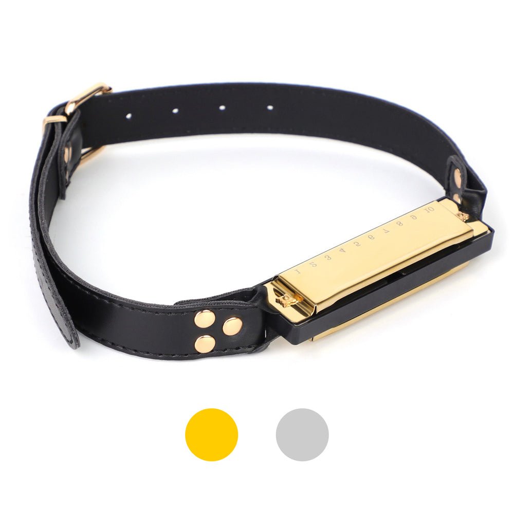 met-deze-ondharmonica-gagball-kan-de-fun-beginnen-instoppen-vastmaken-endan-zorgen-dat-subje-zucht-kreunt-of-blaast-hoe-je-dat-voor-elkaar-krijgt-laten-we-aan-jouw-verbeelding-over-1