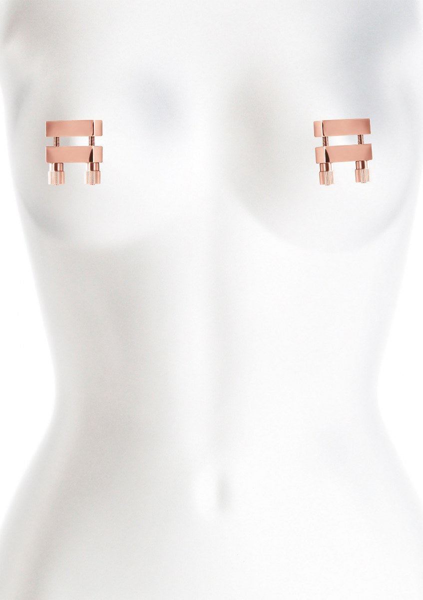 deze-zware-tepelklemmen-zijn-perfecte-bdsm-toys-en-prima-regelbaar-door-hun-schroefjes