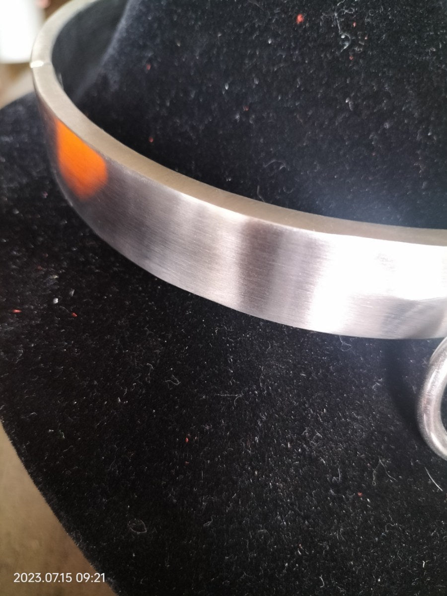 RVS platte collar met slot - SM - speeltjes