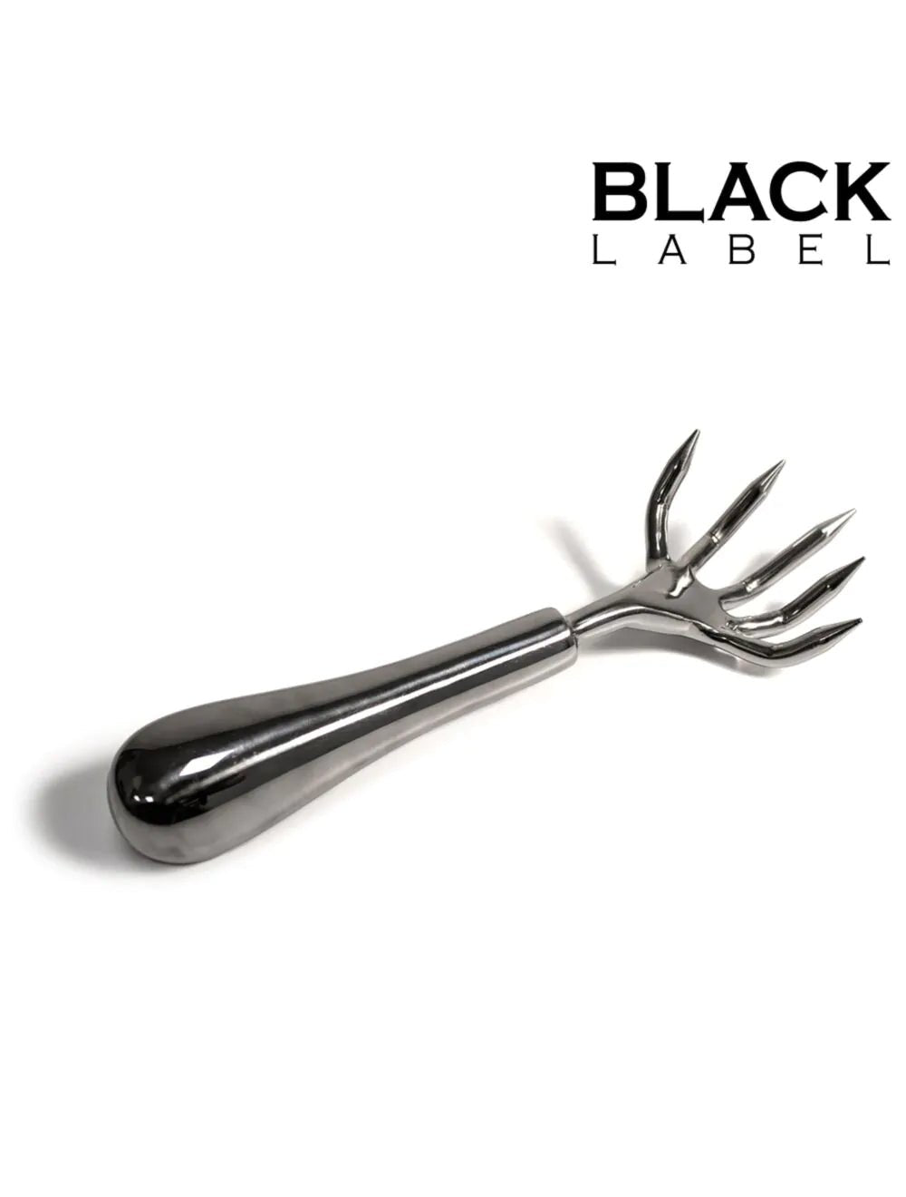 Smaug's Dragon Claw – RVS Skin Scratcher voor Scratch Play - Scratch Play Accessoires - SM-speeltjes