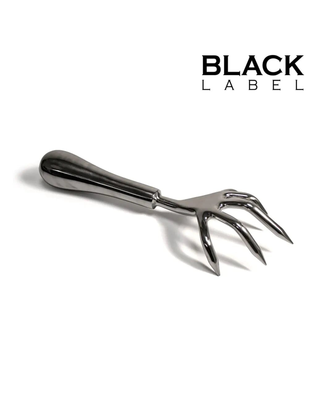 Smaug's Dragon Claw – RVS Skin Scratcher voor Scratch Play - Scratch Play Accessoires - SM-speeltjes