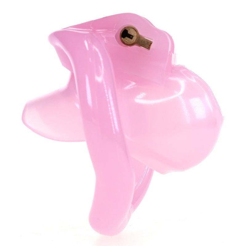 dankzij-dit-mini-chastity-kooitje-wordt-jouw-mini-piemeltje-tijdelijk-of-voor-altijd-netjes-opgeborgen-dat-nutteloze-dingetje-is-voor-niets-bruikbaar-wordt-geleverd-met-4 verschillende-ringen-een-slotje-en-2-bijpassende-sleutels-1