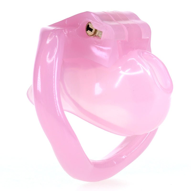 dankzij-dit-mini-chastity-kooitje-wordt-jouw-mini-piemeltje-tijdelijk-of-voor-altijd-netjes-opgeborgen-dat-nutteloze-dingetje-is-voor-niets-bruikbaar-wordt-geleverd-met-4 verschillende-ringen-een-slotje-en-2-bijpassende-sleutels-3