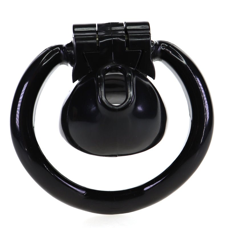 dankzij-dit-mini-chastity-kooitje-wordt-jouw-mini-piemeltje-tijdelijk-of-voor-altijd-netjes-opgeborgen-dat-nutteloze-dingetje-is-voor-niets-bruikbaar-wordt-geleverd-met-4 verschillende-ringen-een-slotje-en-2-bijpassende-sleutels-6