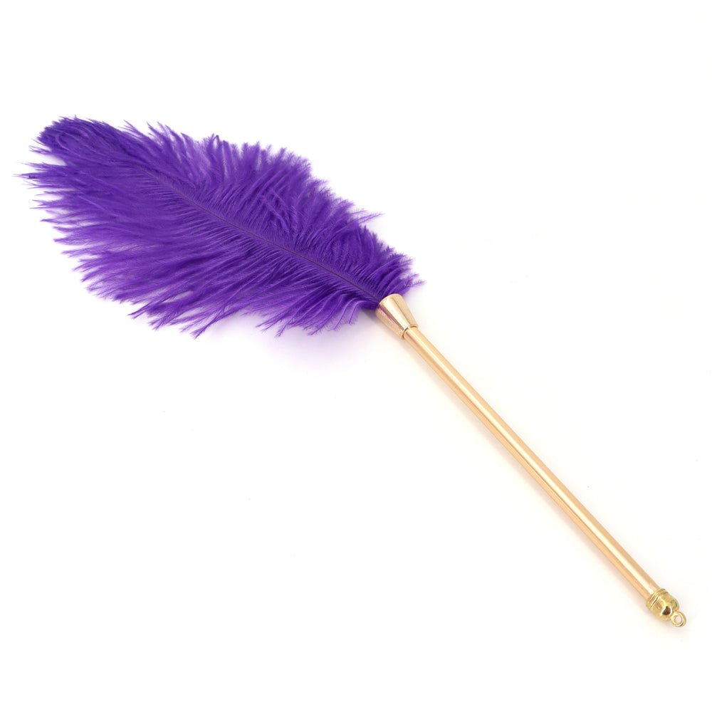 hou-je-van-strelen-en-sensual-play-dan-is-dit-het-bdsm-speeltjes-die-niet-in-je-koffer-mag-ontbreken-dankzij-zijn-superzachte-veer-weet-hij-je-telkens-opnieuw-te-prikkelen-3