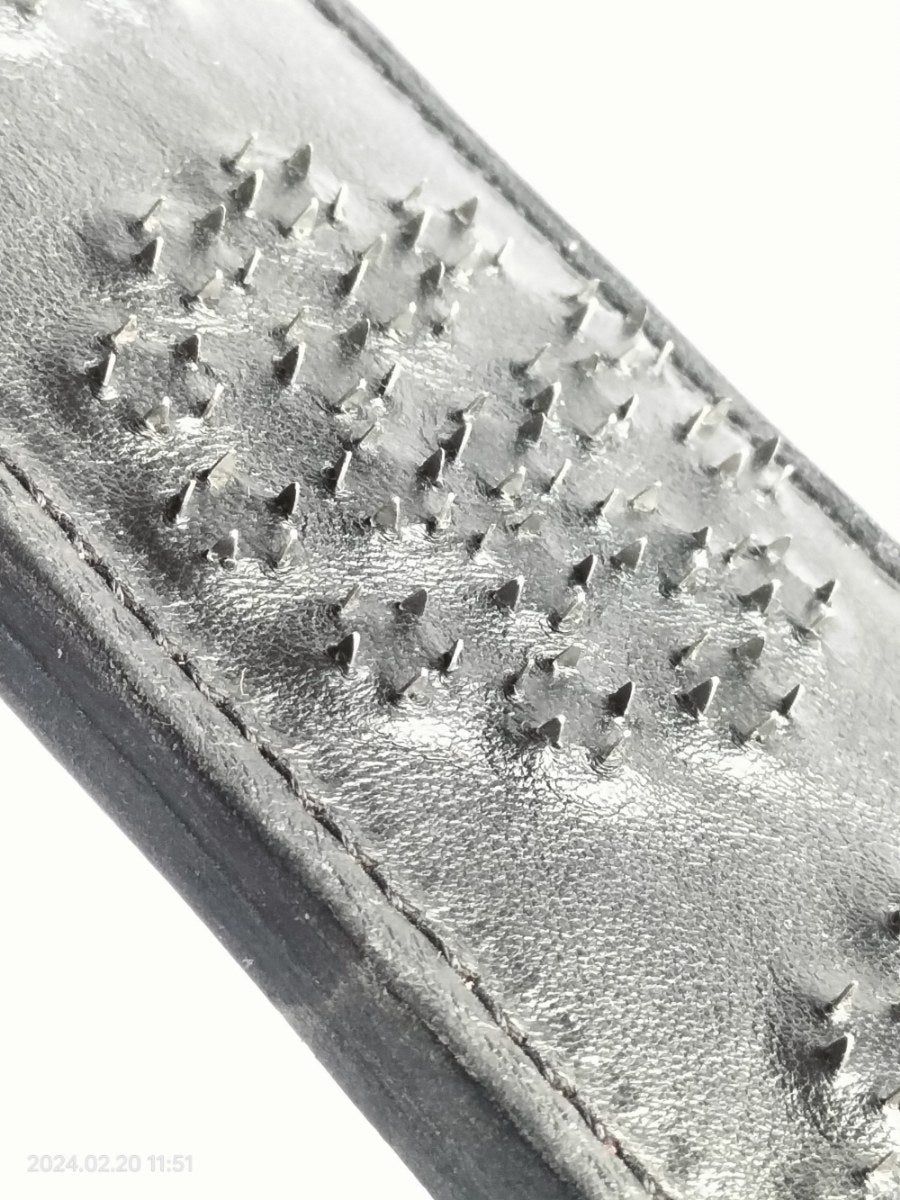 Venijnige slapper met vampire spikes - SM - speeltjes