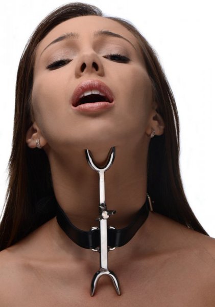 Heritic fork BDSM collar