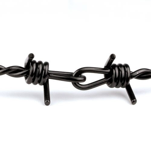 Stainless steel barbed wire collar black