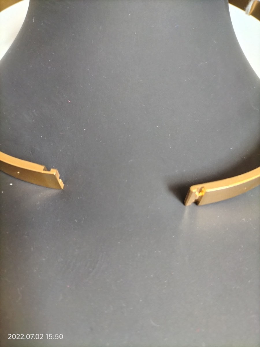 RVS goudkleurig gecoate collar (verschillende maten)