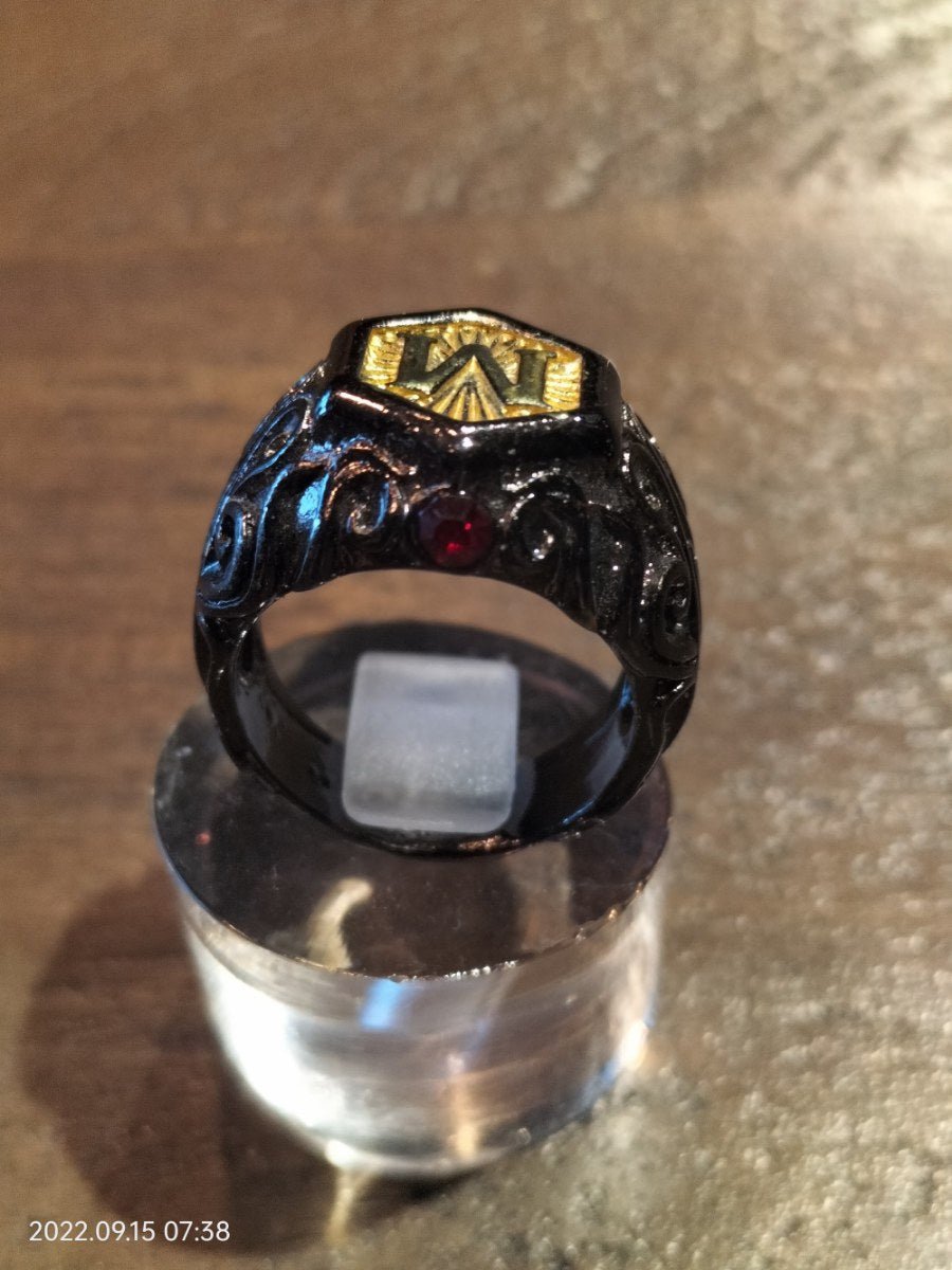 Master ring (diverse maten) - SM - speeltjes